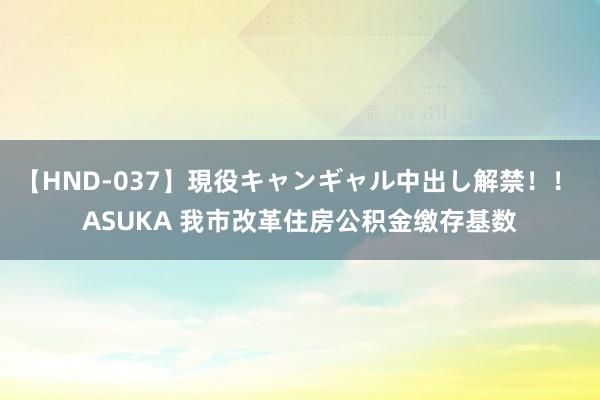 【HND-037】現役キャンギャル中出し解禁！！ ASUKA 我市改革住房公积金缴存基数