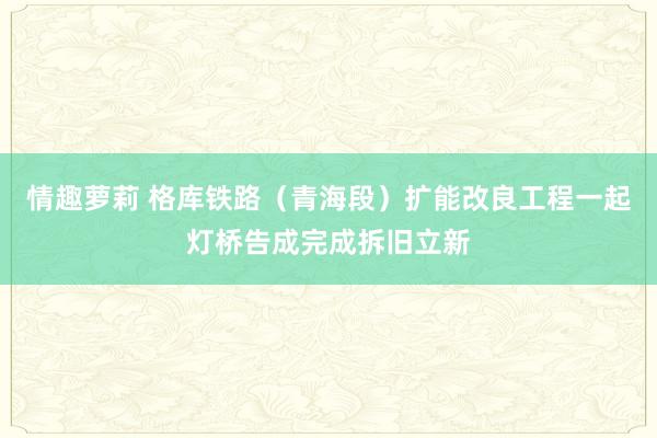 情趣萝莉 格库铁路（青海段）扩能改良工程一起灯桥告成完成拆旧立新