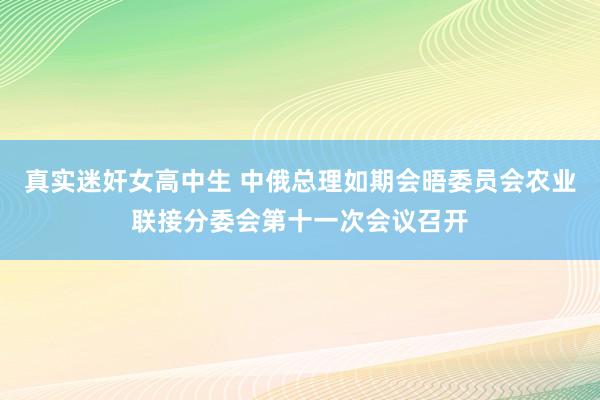 真实迷奸女高中生 中俄总理如期会晤委员会农业联接分委会第十一次会议召开