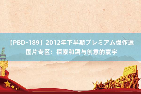 【PBD-189】2012年下半期プレミアム傑作選 图片专区：探索和蔼与创意的寰宇