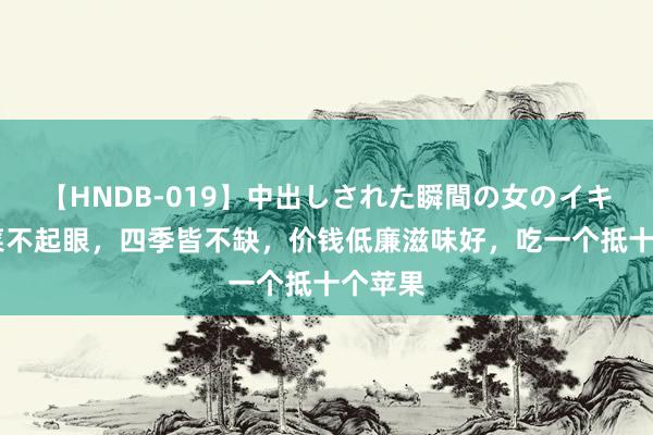 【HNDB-019】中出しされた瞬間の女のイキ顔 这菜不起眼，四季皆不缺，价钱低廉滋味好，吃一个抵十个苹果