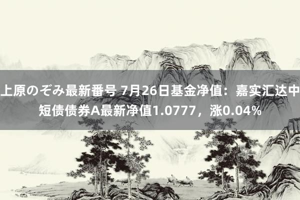 上原のぞみ最新番号 7月26日基金净值：嘉实汇达中短债债券A最新净值1.0777，涨0.04%