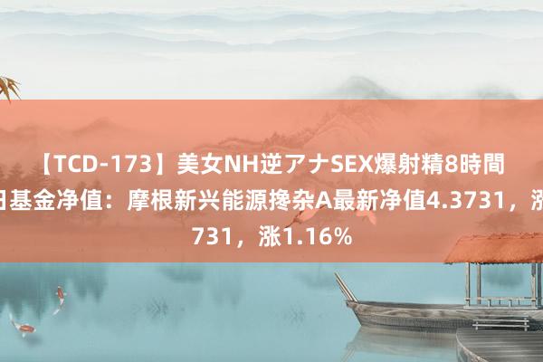 【TCD-173】美女NH逆アナSEX爆射精8時間 7月26日基金净值：摩根新兴能源搀杂A最新净值4.3731，涨1.16%