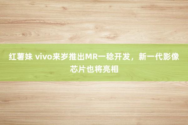 红薯妹 vivo来岁推出MR一稔开发，新一代影像芯片也将亮相