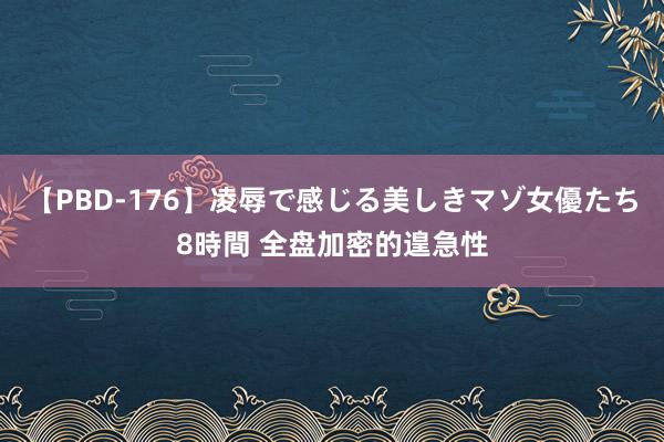 【PBD-176】凌辱で感じる美しきマゾ女優たち8時間 全盘加密的遑急性