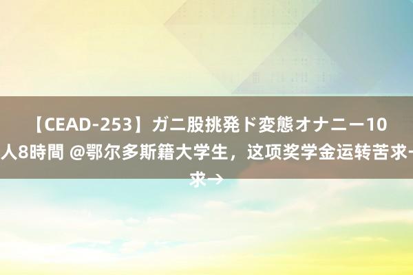 【CEAD-253】ガニ股挑発ド変態オナニー100人8時間 @鄂尔多斯籍大学生，这项奖学金运转苦求→