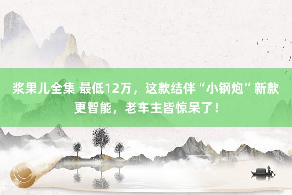 浆果儿全集 最低12万，这款结伴“小钢炮”新款更智能，老车主皆惊呆了！