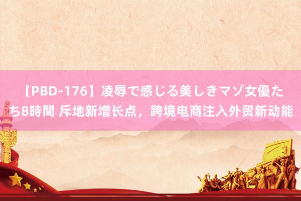 【PBD-176】凌辱で感じる美しきマゾ女優たち8時間 斥地新增长点，跨境电商注入外贸新动能