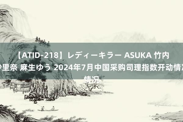 【ATID-218】レディーキラー ASUKA 竹内紗里奈 麻生ゆう 2024年7月中国采购司理指数开动情况