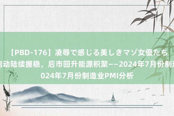 【PBD-176】凌辱で感じる美しきマゾ女優たち8時間 经济启动陆续握稳，后市回升能源积聚——2024年7月份制造业PMI分析