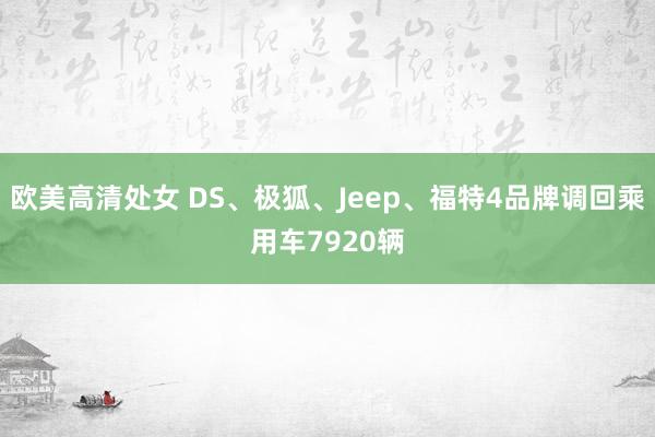 欧美高清处女 DS、极狐、Jeep、福特4品牌调回乘用车7920辆