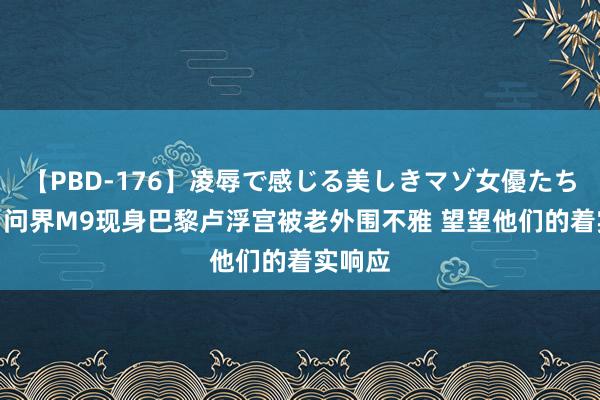 【PBD-176】凌辱で感じる美しきマゾ女優たち8時間 问界M9现身巴黎卢浮宫被老外围不雅 望望他们的着实响应