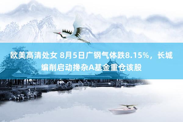 欧美高清处女 8月5日广钢气体跌8.15%，长城编削启动搀杂A基金重仓该股