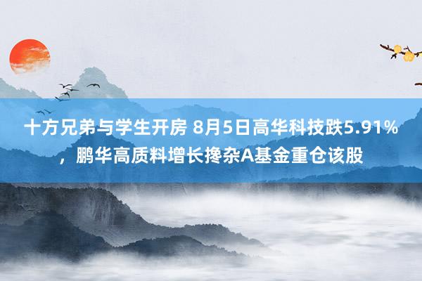 十方兄弟与学生开房 8月5日高华科技跌5.91%，鹏华高质料增长搀杂A基金重仓该股