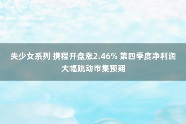 失少女系列 携程开盘涨2.46% 第四季度净利润大幅跳动市集预期