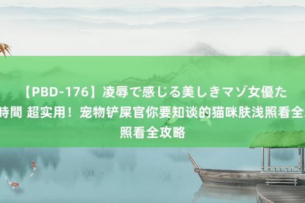 【PBD-176】凌辱で感じる美しきマゾ女優たち8時間 超实用！宠物铲屎官你要知谈的猫咪肤浅照看全攻略