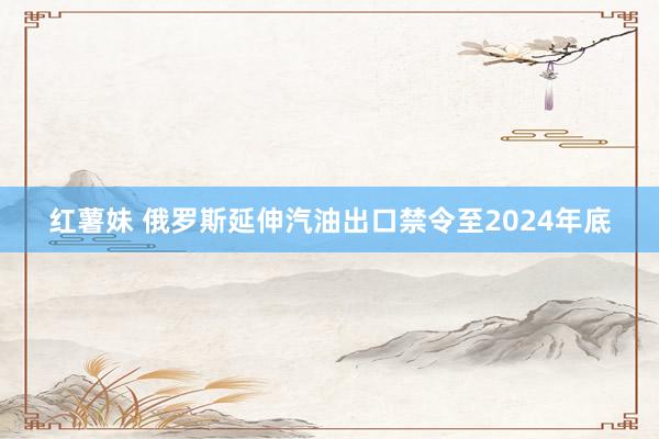 红薯妹 俄罗斯延伸汽油出口禁令至2024年底