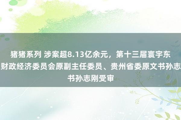 猪猪系列 涉案超8.13亿余元，第十三届寰宇东谈主大财政经济委员会原副主任委员、贵州省委原文书孙志刚受审