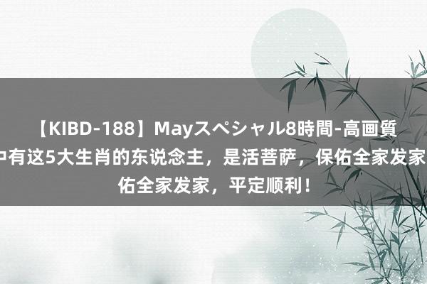 【KIBD-188】Mayスペシャル8時間-高画質-特別編 家中有这5大生肖的东说念主，是活菩萨，保佑全家发家，平定顺利！