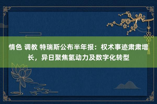 情色 调教 特瑞斯公布半年报：权术事迹肃肃增长，异日聚焦氢动力及数字化转型