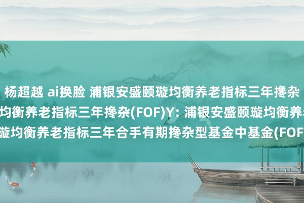 杨超越 ai换脸 浦银安盛颐璇均衡养老指标三年搀杂(FOF)A，浦银安盛颐璇均衡养老指标三年搀杂(FOF)Y: 浦银安盛颐璇均衡养老指标三年合手有期搀杂型基金中基金(FOF)基金司理变更公告