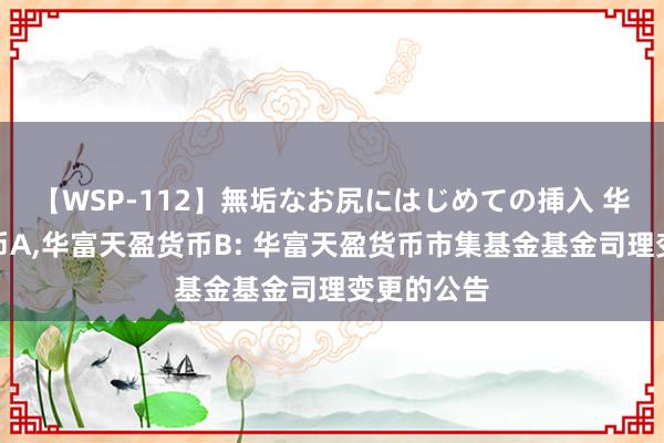 【WSP-112】無垢なお尻にはじめての挿入 华富天盈货币A，华富天盈货币B: 华富天盈货币市集基金基金司理变更的公告