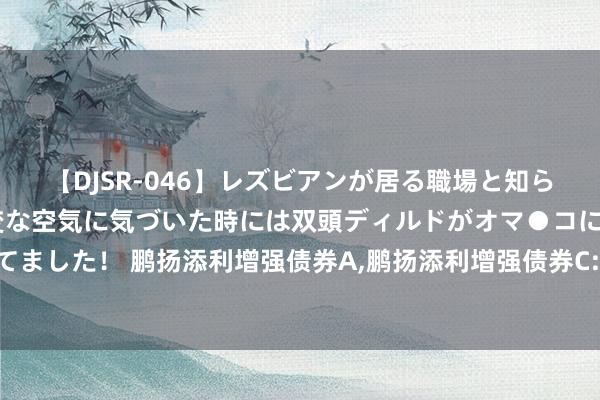 【DJSR-046】レズビアンが居る職場と知らずに来た私（ノンケ） 変な空気に気づいた時には双頭ディルドがオマ●コに挿入されて腰を振ってました！ 鹏扬添利增强债券A,鹏扬添利增强债券C: 对于鹏扬添利增强债券型证券投资基金增聘基金司理的公告