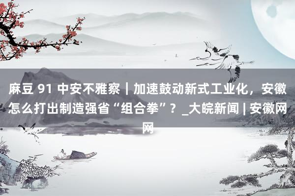 麻豆 91 中安不雅察｜加速鼓动新式工业化，安徽怎么打出制造强省“组合拳”？_大皖新闻 | 安徽网