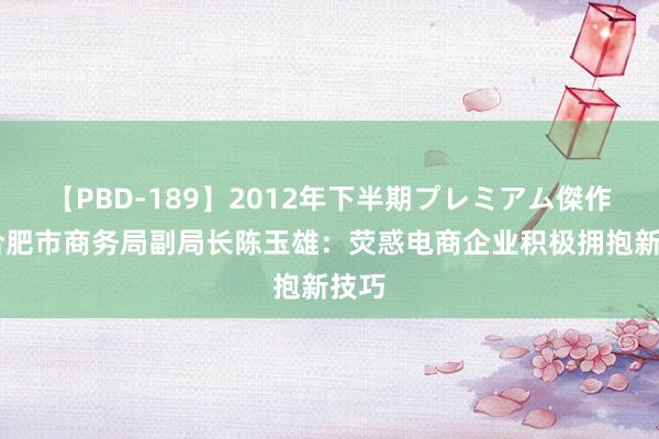 【PBD-189】2012年下半期プレミアム傑作選 合肥市商务局副局长陈玉雄：荧惑电商企业积极拥抱新技巧