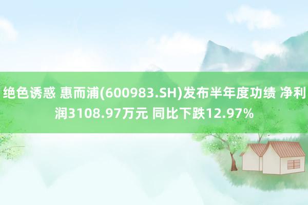 绝色诱惑 惠而浦(600983.SH)发布半年度功绩 净利润3108.97万元 同比下跌12.97%