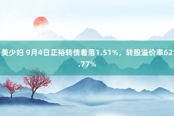 美少妇 9月4日正裕转债着落1.51%，转股溢价率62.77%